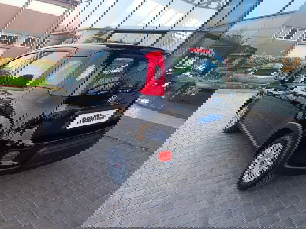 Fiat Panda usata a Pisa (6)