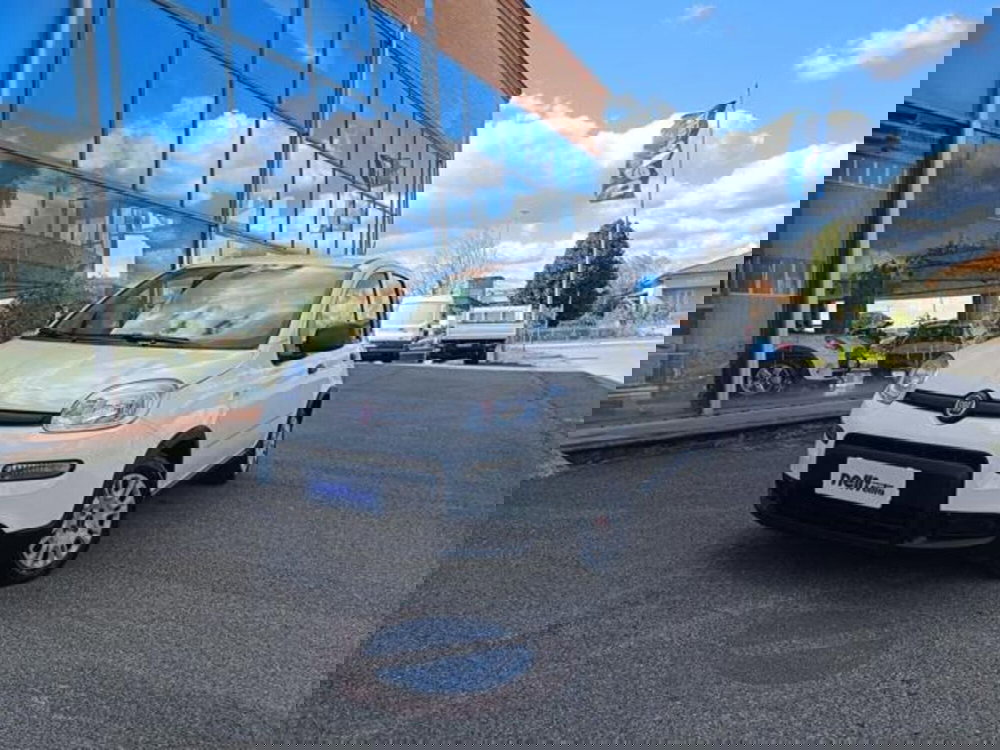 Fiat Panda usata a Pisa