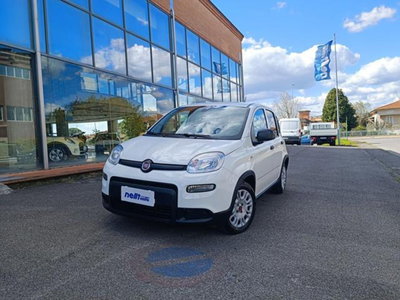 Fiat Panda 1.0 firefly hybrid s&amp;s 70cv 5p.ti del 2023 usata a Castelfranco di Sotto