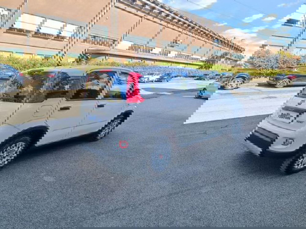 Fiat Panda usata a Pisa (11)