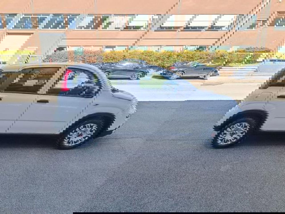 Fiat Panda usata a Pisa (13)
