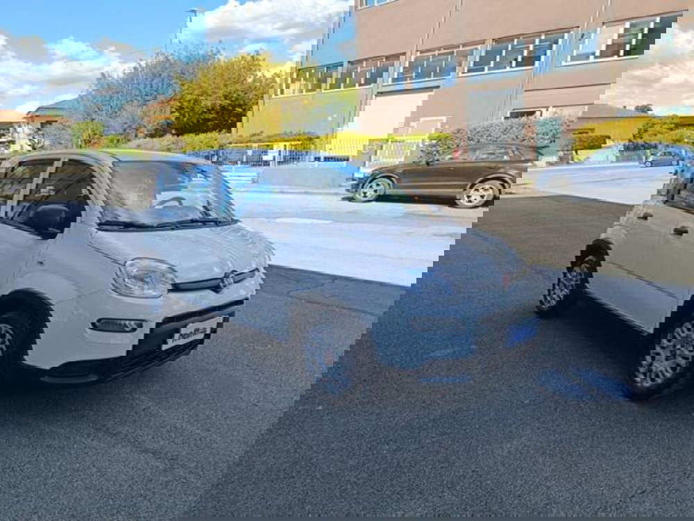 Fiat Panda usata a Pisa (14)