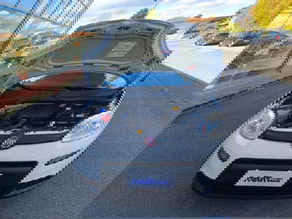 Fiat Panda usata a Pisa (3)