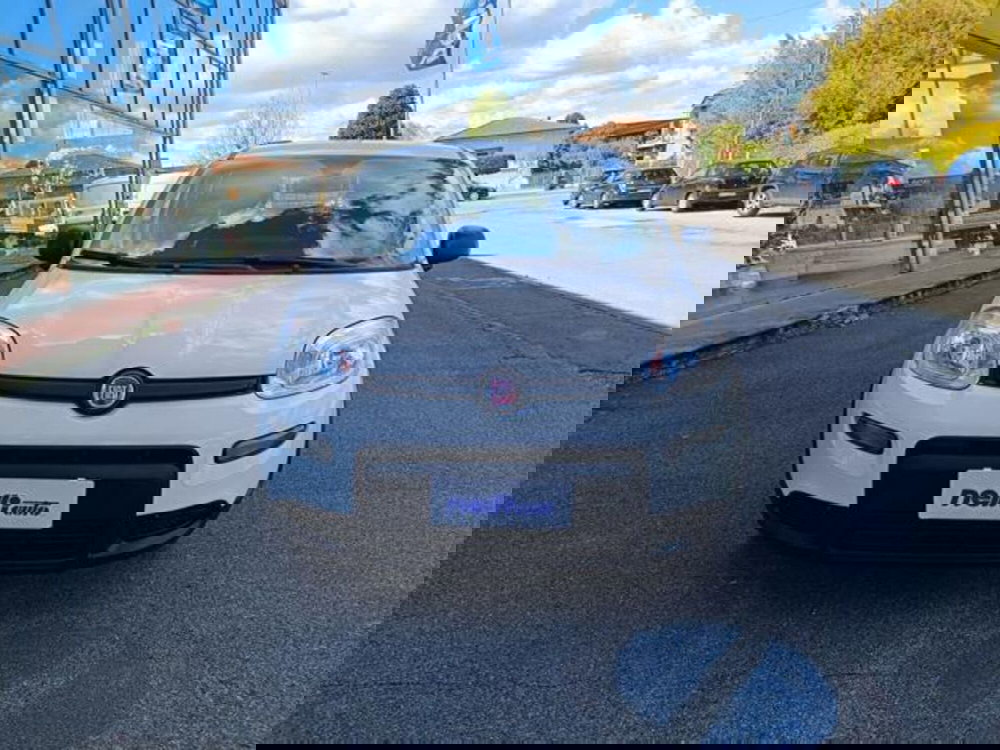 Fiat Panda usata a Pisa (4)