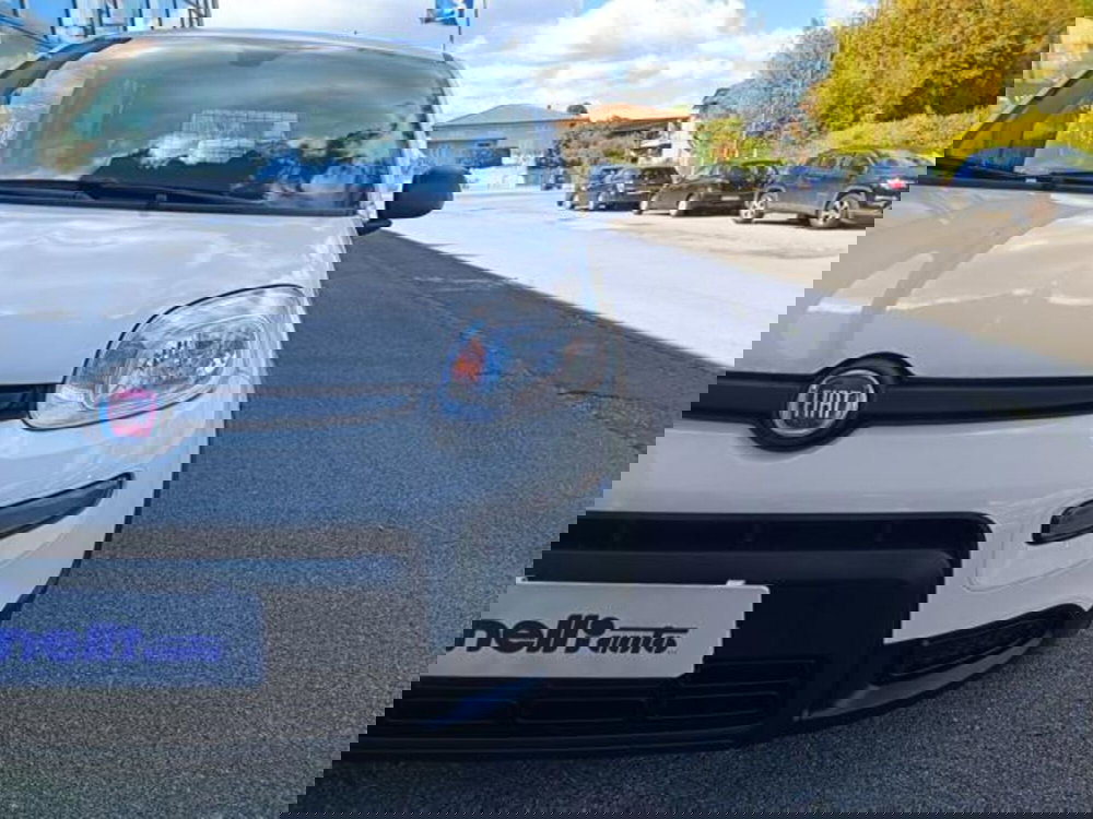 Fiat Panda usata a Pisa (5)