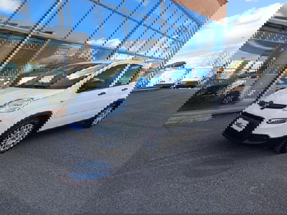 Fiat Panda usata a Pisa (6)