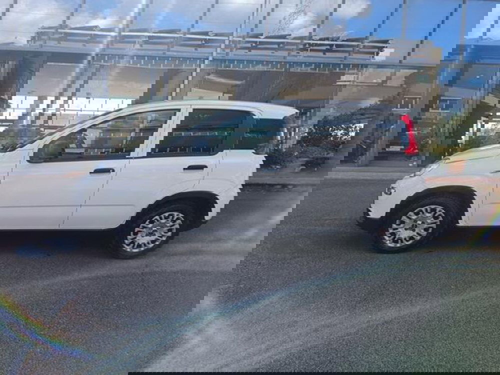 Fiat Panda usata a Pisa (7)