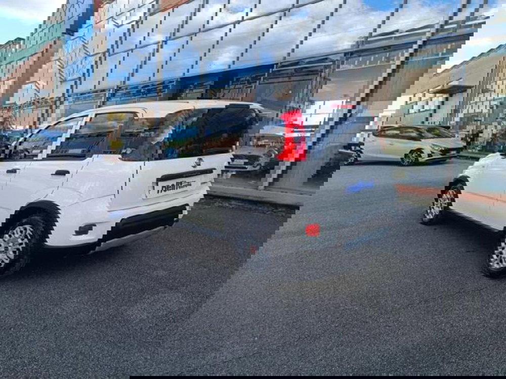 Fiat Panda usata a Pisa (8)