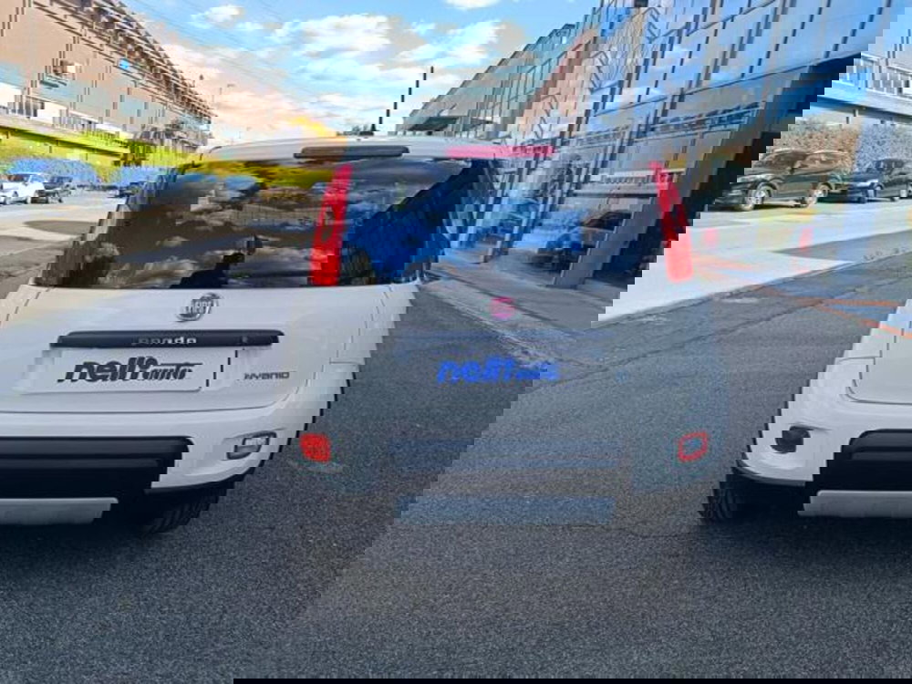Fiat Panda usata a Pisa (9)
