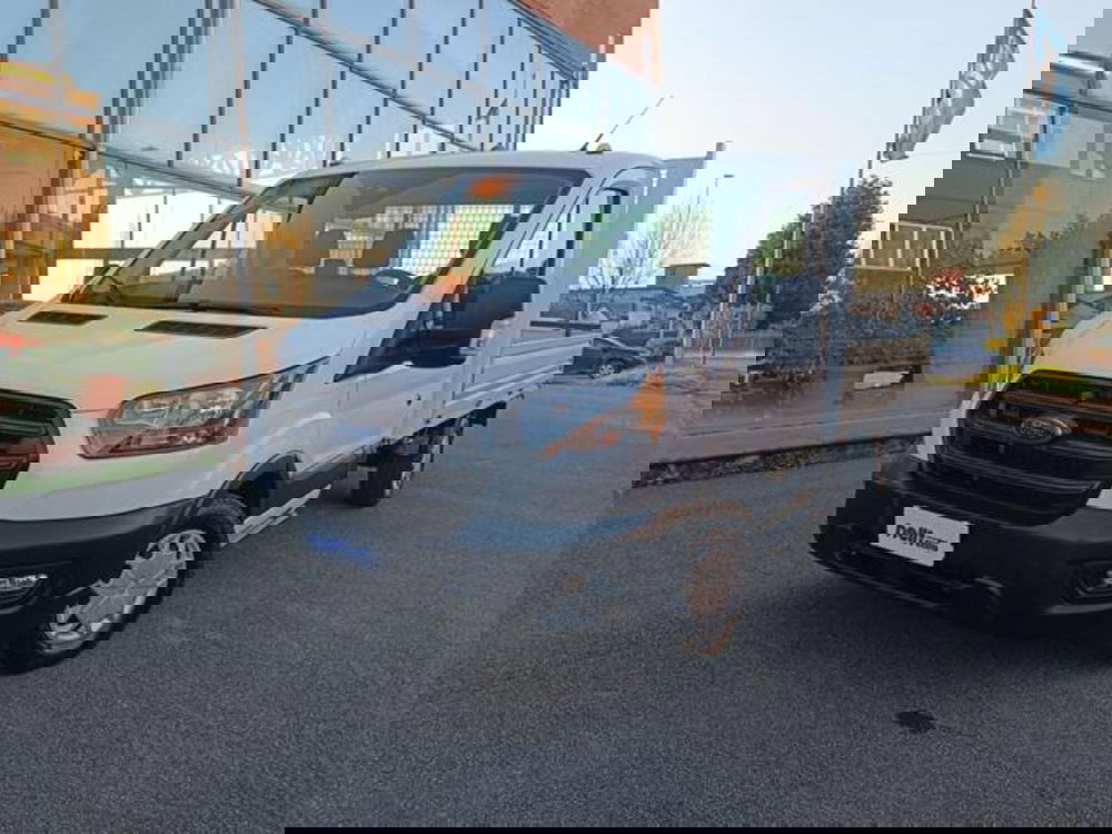 Ford Transit usata a Pisa