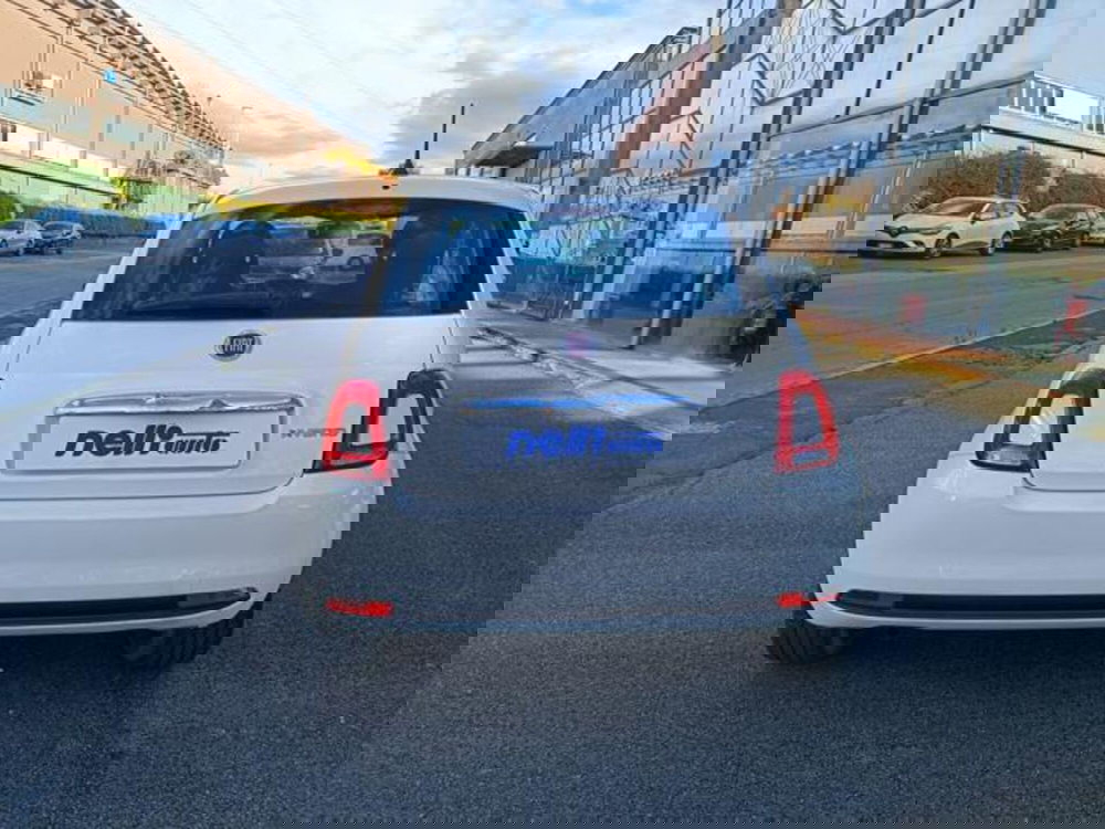 Fiat 500 usata a Pisa (8)