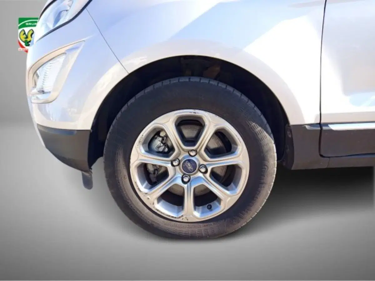 Ford EcoSport usata a Frosinone (14)