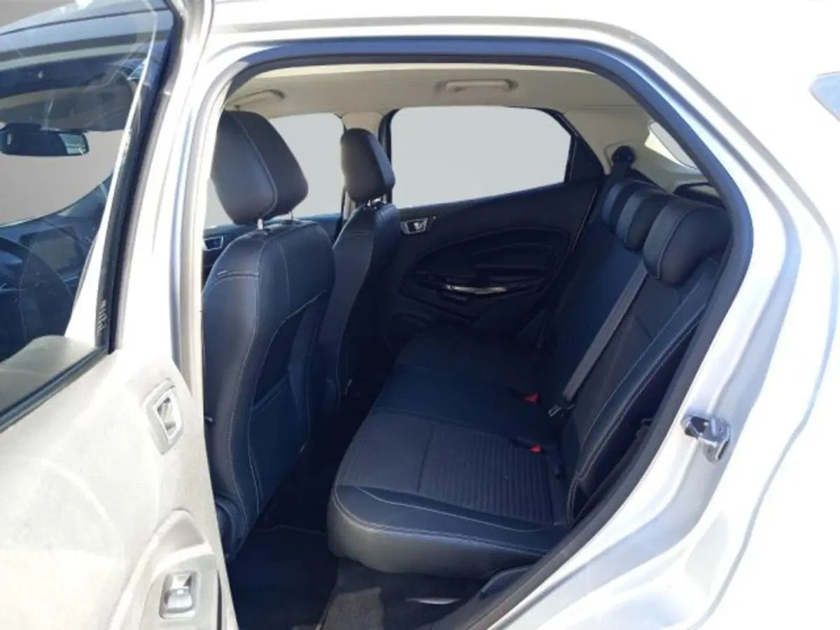 Ford EcoSport usata a Frosinone (17)