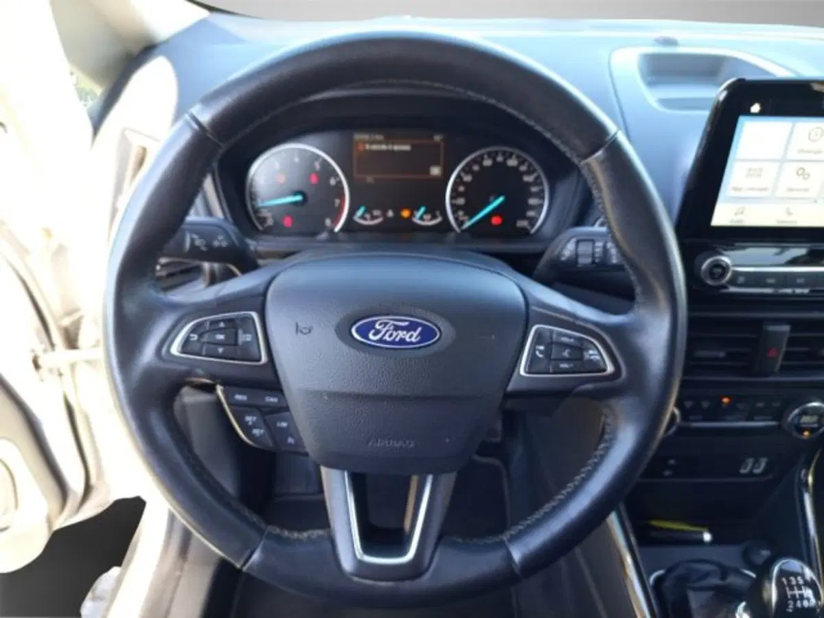 Ford EcoSport usata a Frosinone (19)
