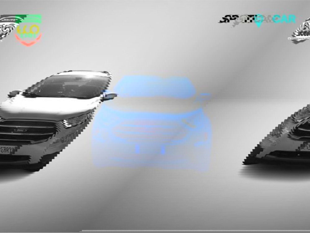 Ford EcoSport usata a Frosinone (2)