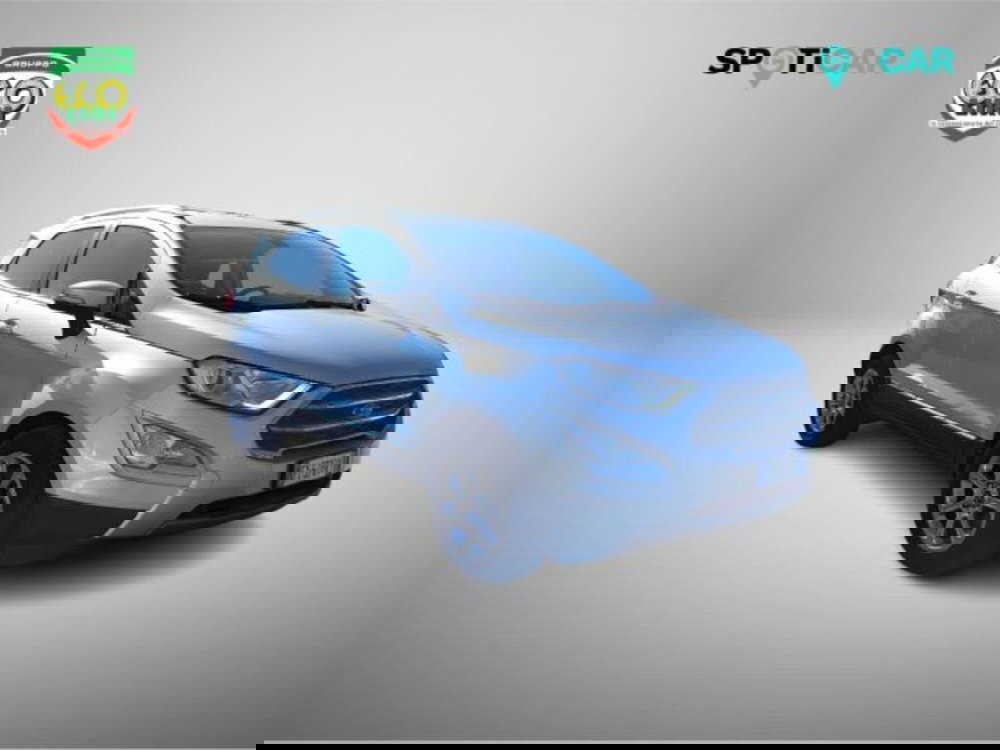 Ford EcoSport usata a Frosinone (3)