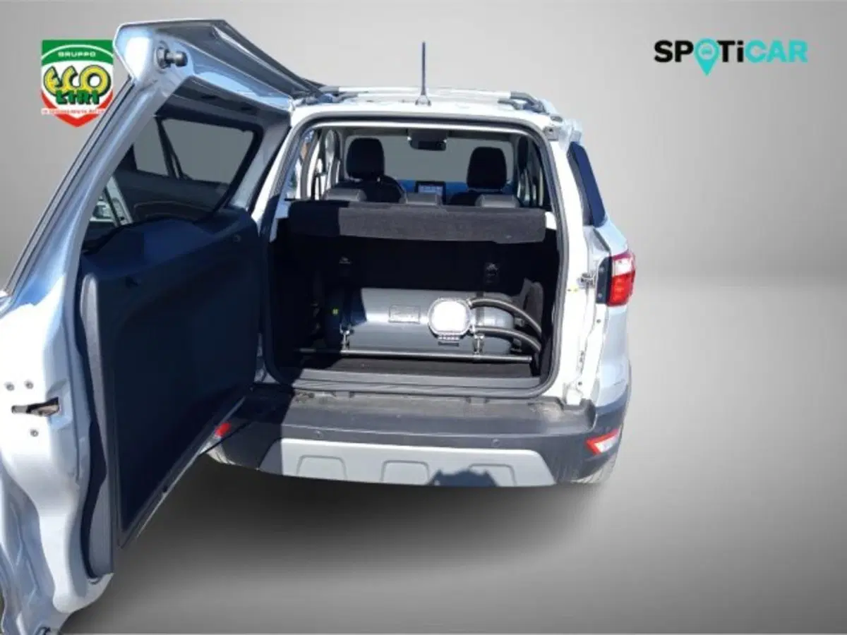 Ford EcoSport usata a Frosinone (9)