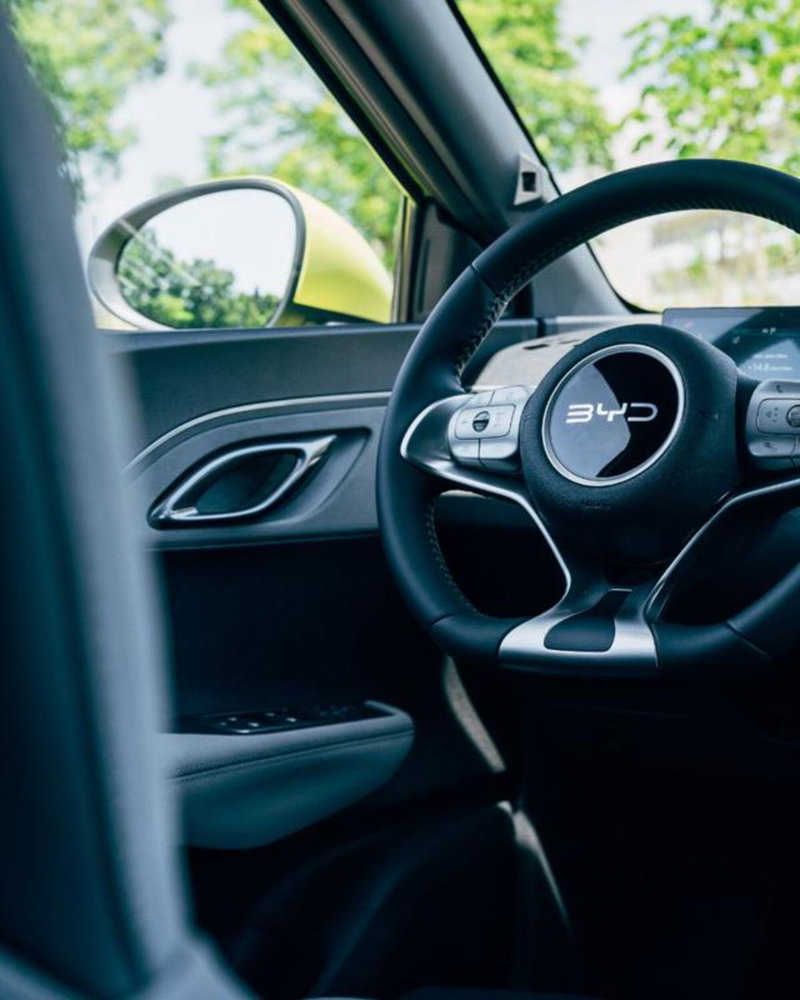 Byd Dolphin Surf nuova a Bologna (18)