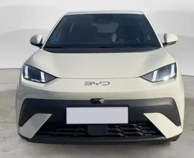 Byd Dolphin Surf 30 kWh Active nuova a Castenaso
