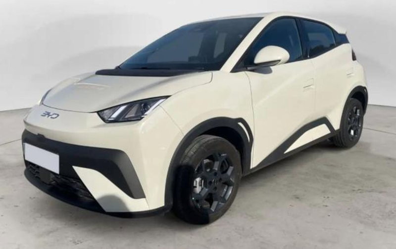 Byd Dolphin Surf nuova a Bologna (2)