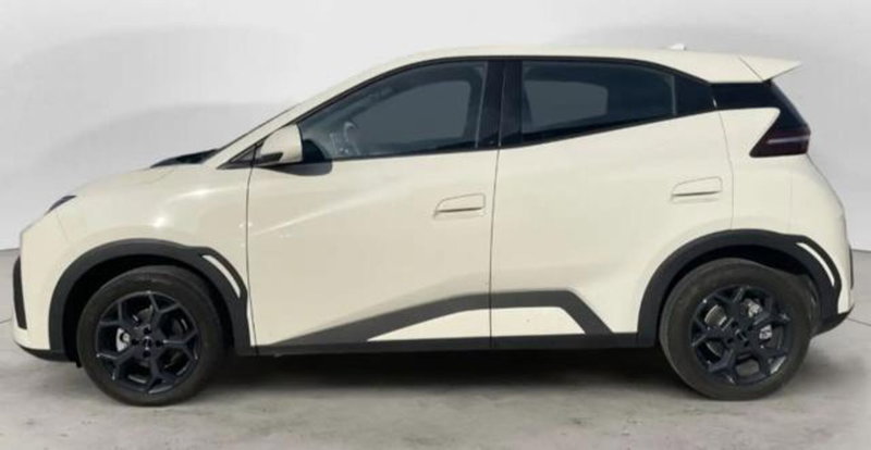 Byd Dolphin Surf nuova a Bologna (3)