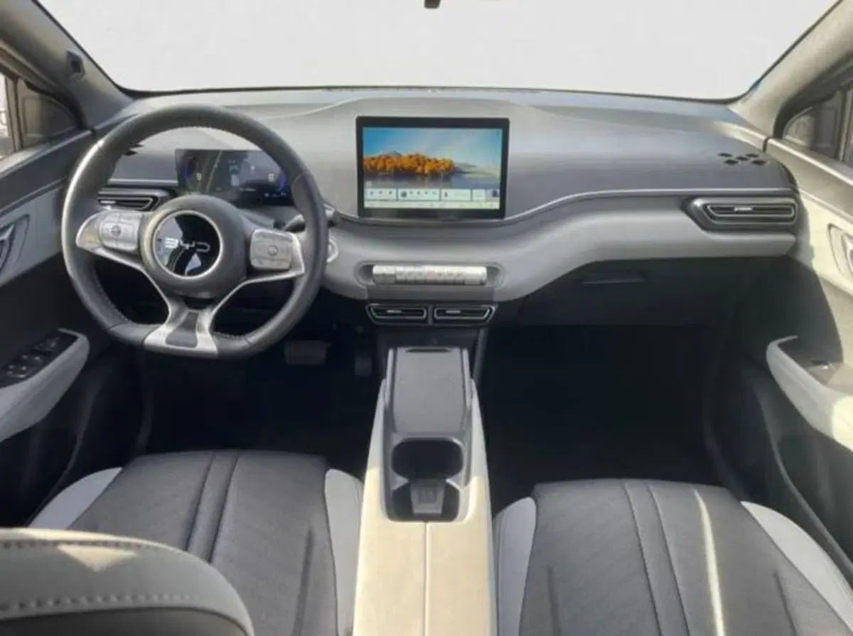 Byd Dolphin Surf nuova a Bologna (5)