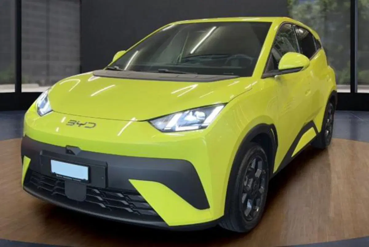 Byd Dolphin Surf nuova a Bologna (2)
