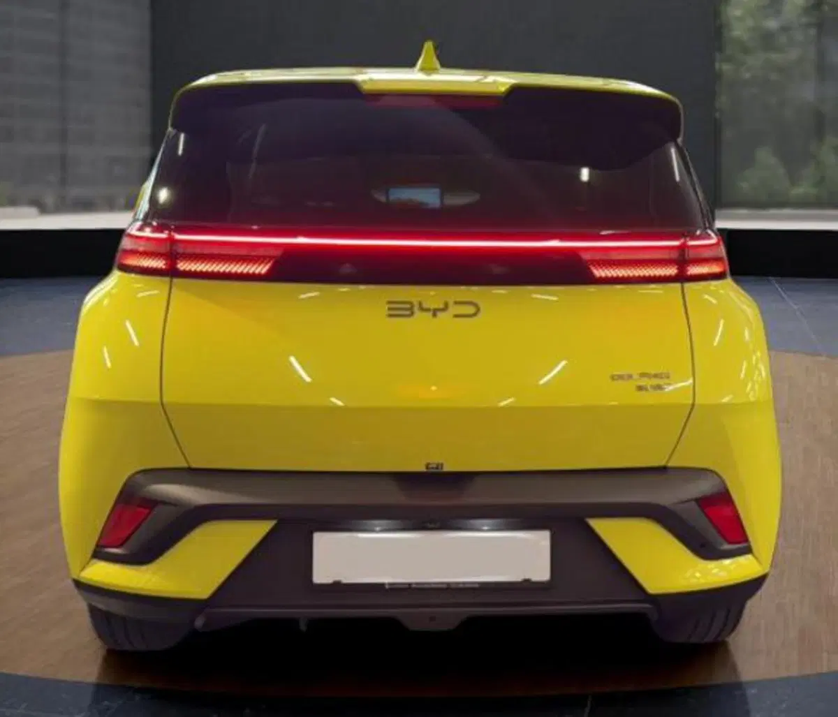 Byd Dolphin Surf nuova a Bologna (5)