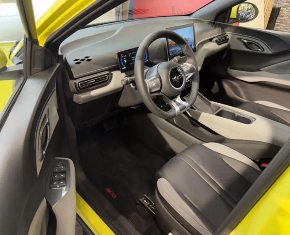 Byd Dolphin Surf nuova a Bologna (9)