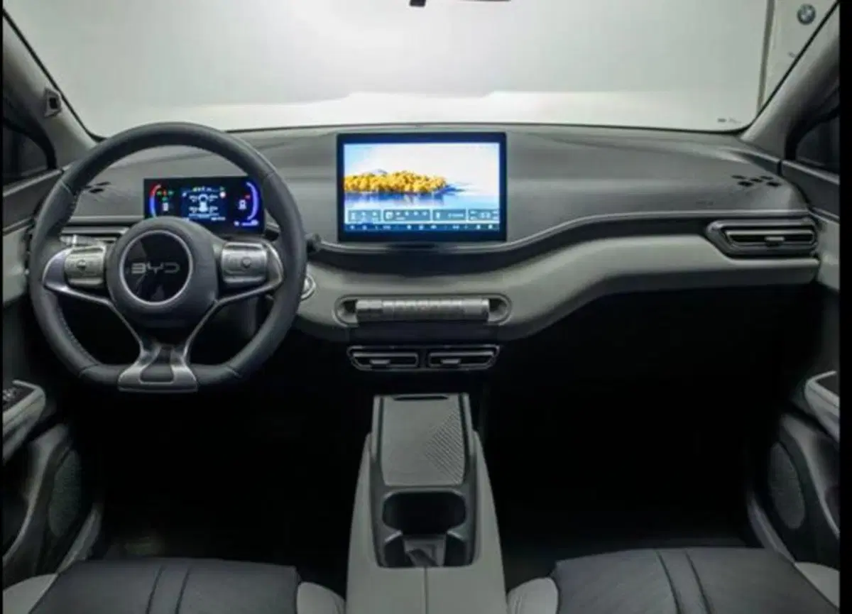 Byd Dolphin Surf nuova a Bologna (7)