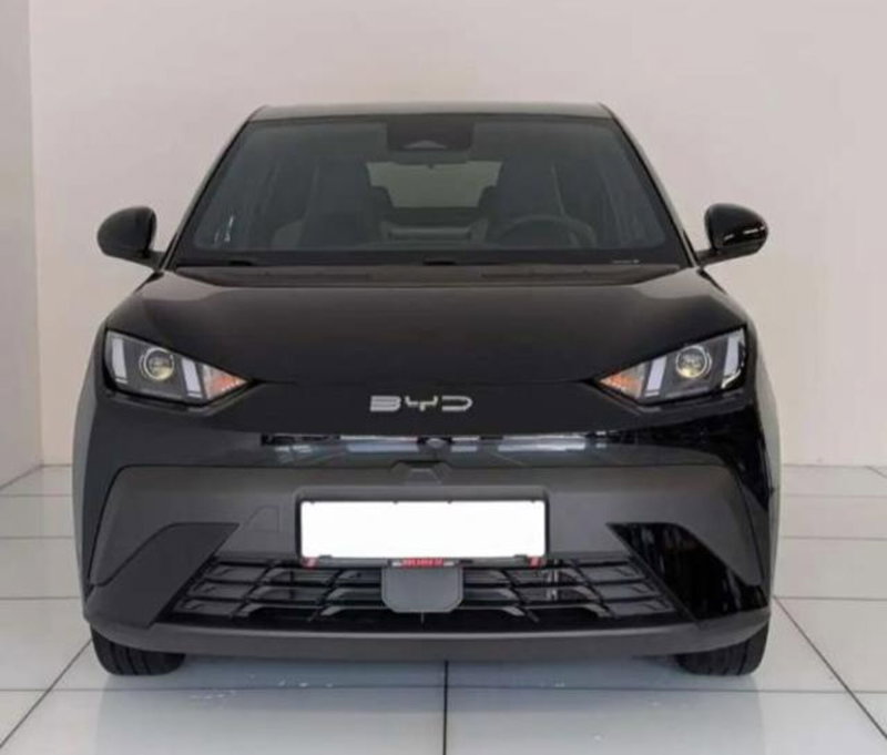 Byd Dolphin Surf nuova a Bologna (2)