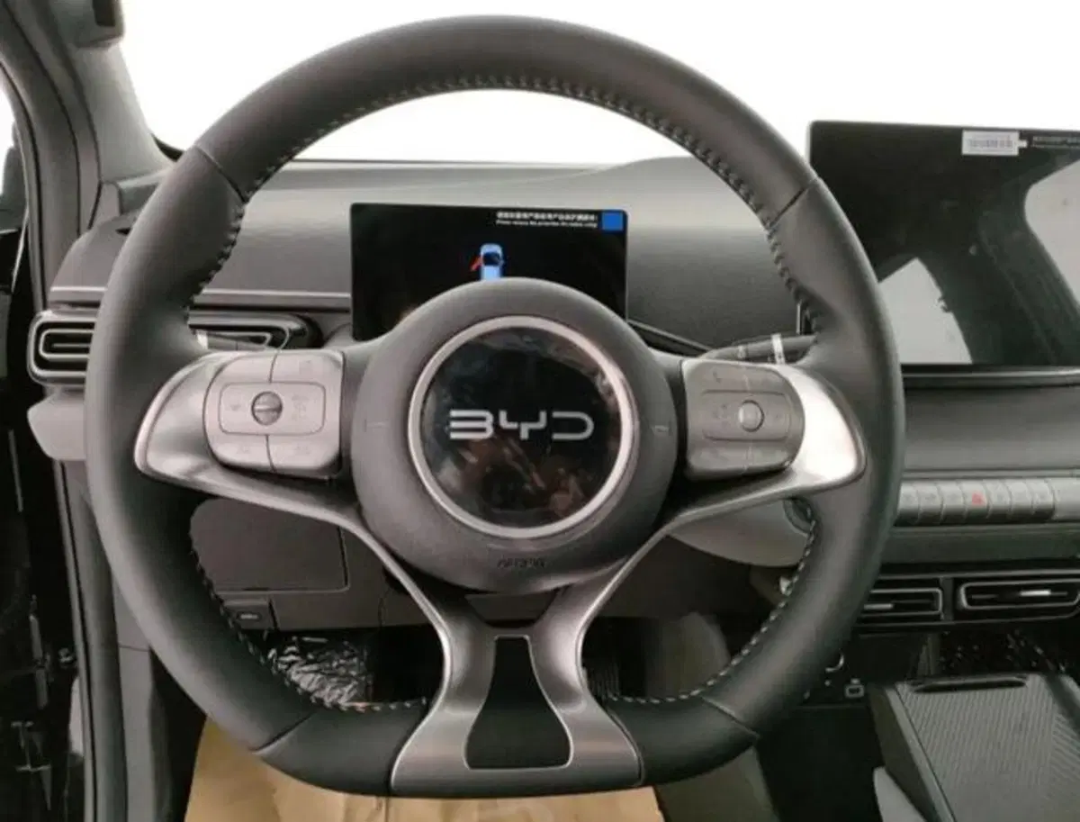 Byd Dolphin Surf nuova a Bologna (9)