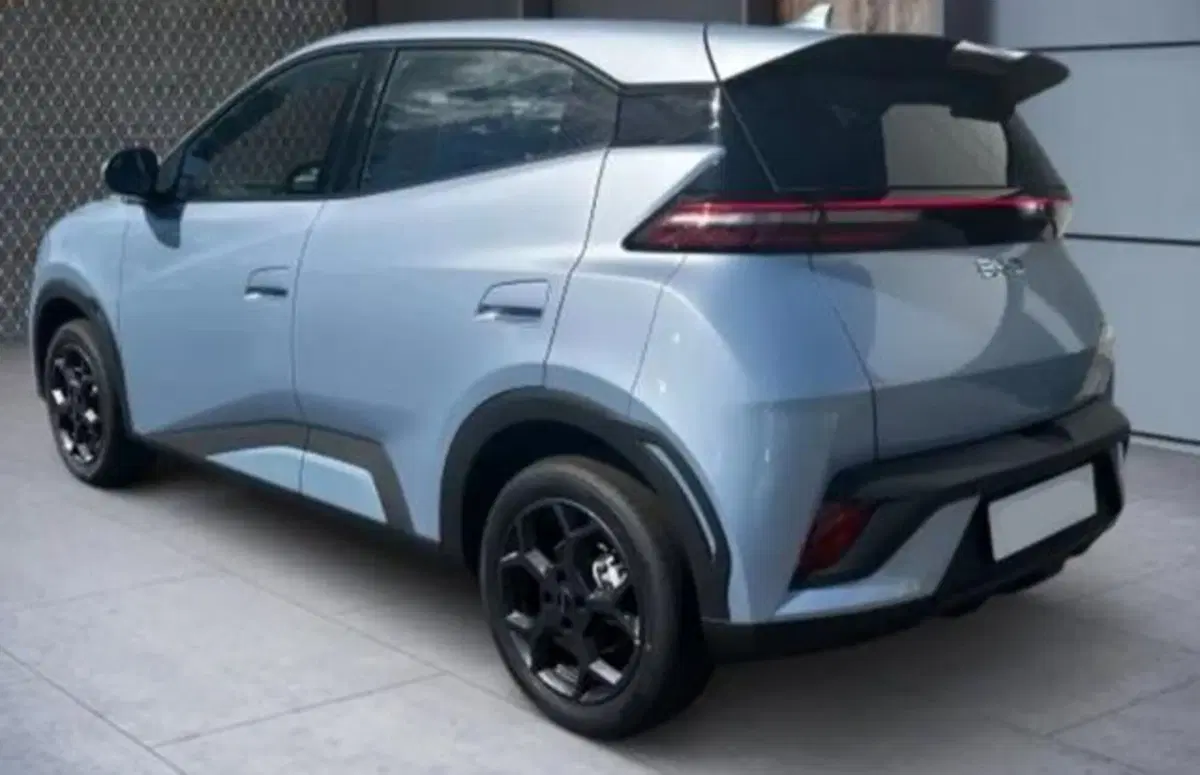 Byd Dolphin Surf nuova a Bologna (2)
