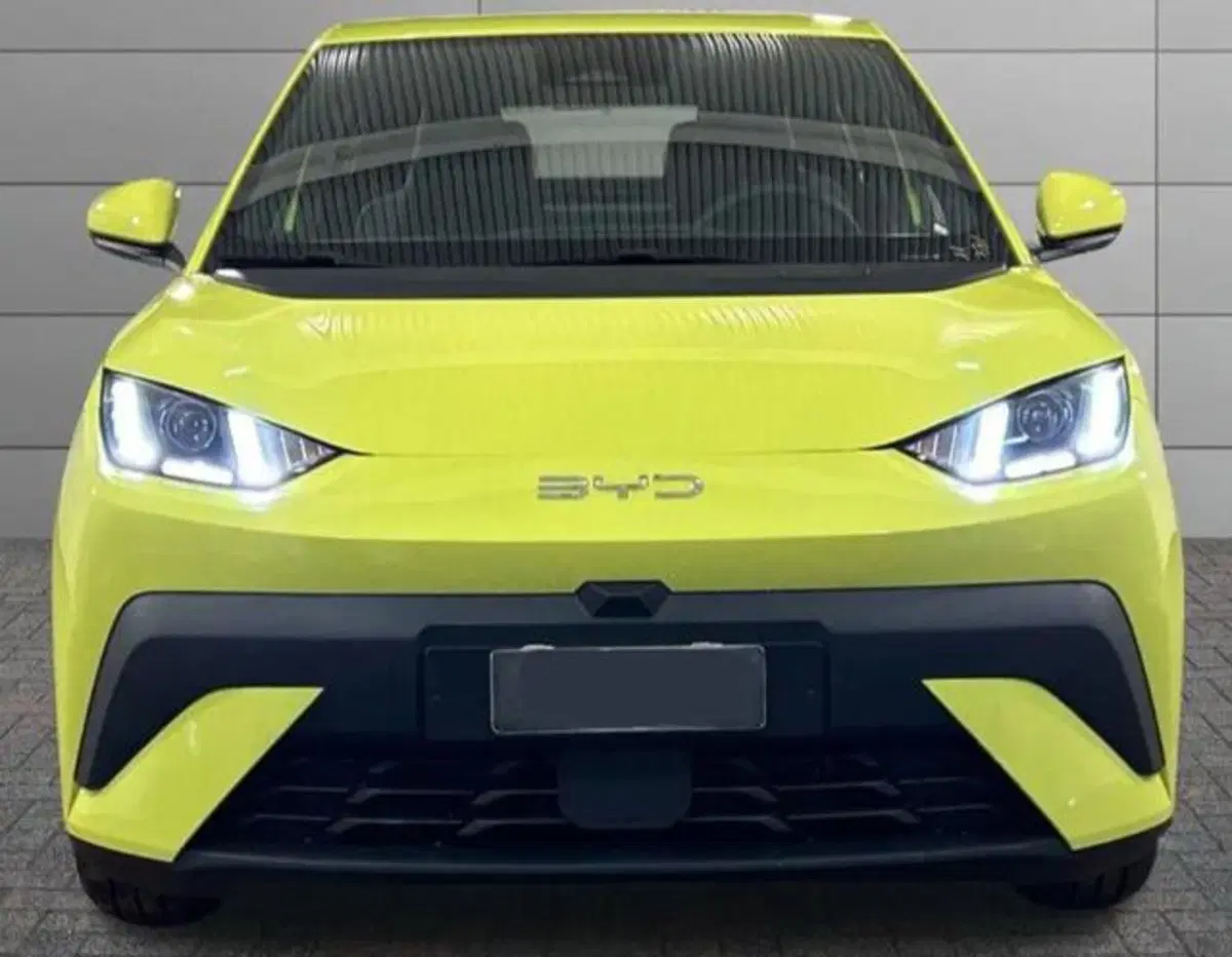 Byd Dolphin Surf nuova a Bologna