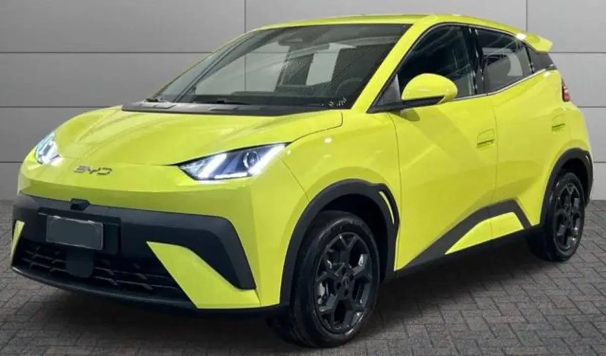 Byd Dolphin Surf nuova a Bologna (2)