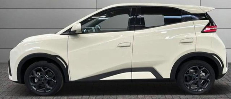 Byd Dolphin Surf nuova a Bologna (4)