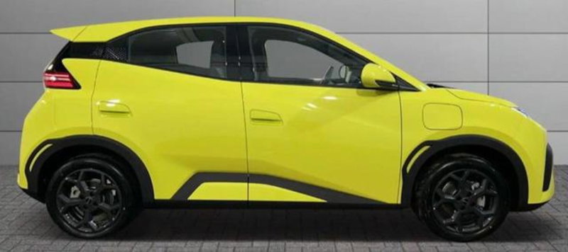 Byd Dolphin Surf nuova a Bologna (5)