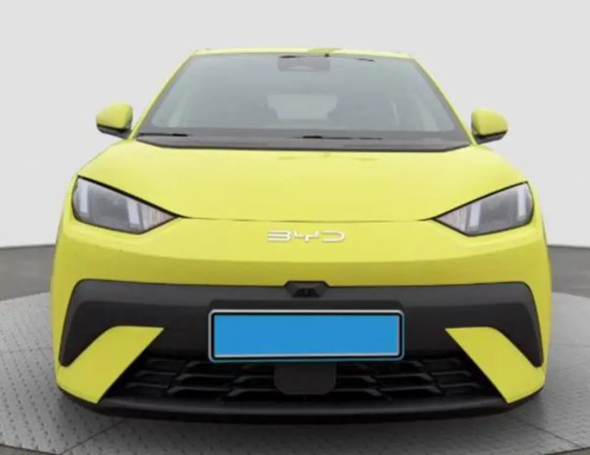 Byd Dolphin Surf nuova a Bologna (2)