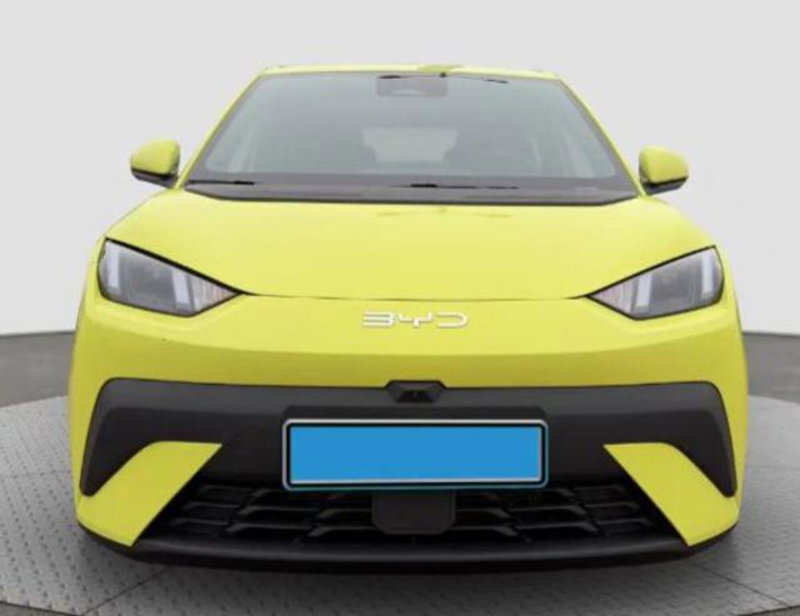 Byd Dolphin Surf nuova a Bologna (2)