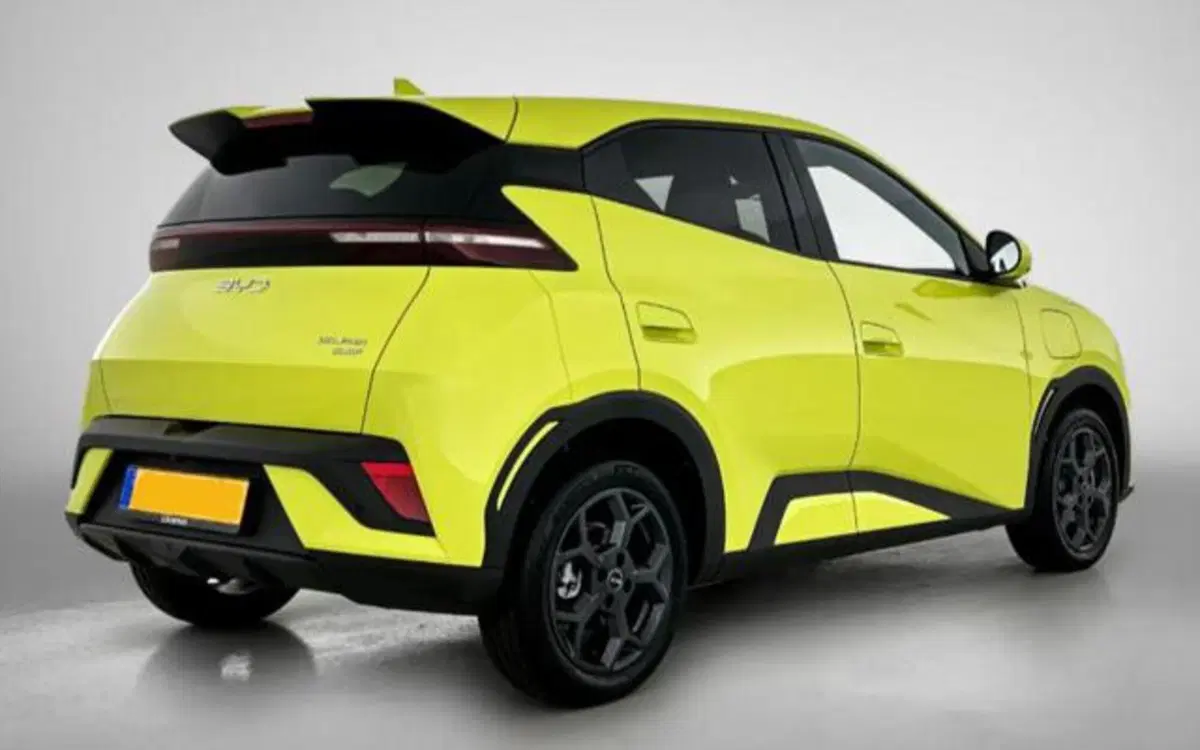 Byd Dolphin Surf nuova a Bologna (2)