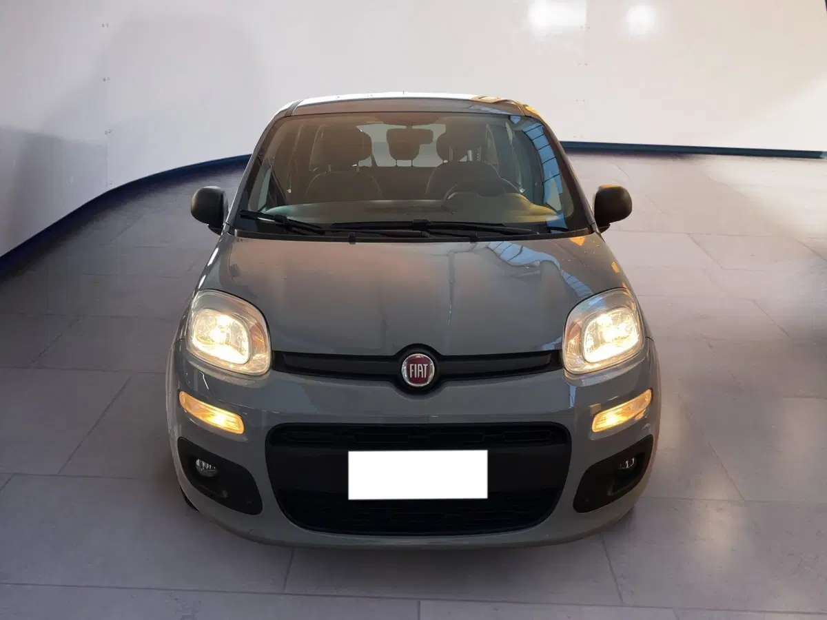 Fiat Panda usata a Torino
