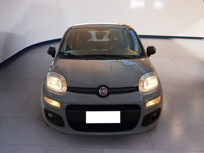 Fiat Panda 1.0 firefly hybrid s&amp;s 70cv 5p.ti del 2022 usata a Torino