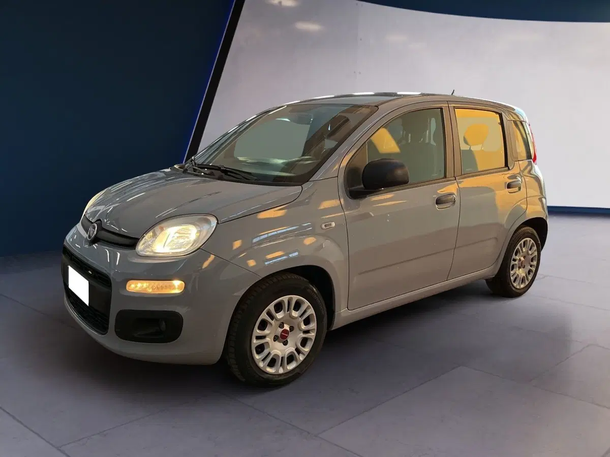 Fiat Panda usata a Torino (2)