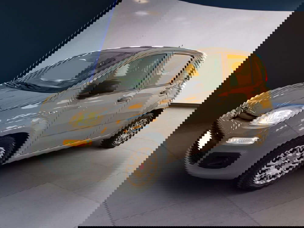 Fiat Panda usata a Torino (2)