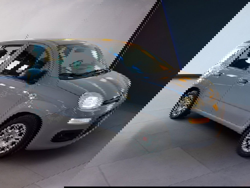 Fiat Panda usata a Torino (3)