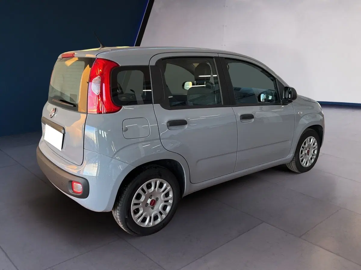 Fiat Panda usata a Torino (4)