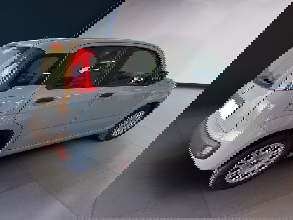 Fiat Panda usata a Torino (4)