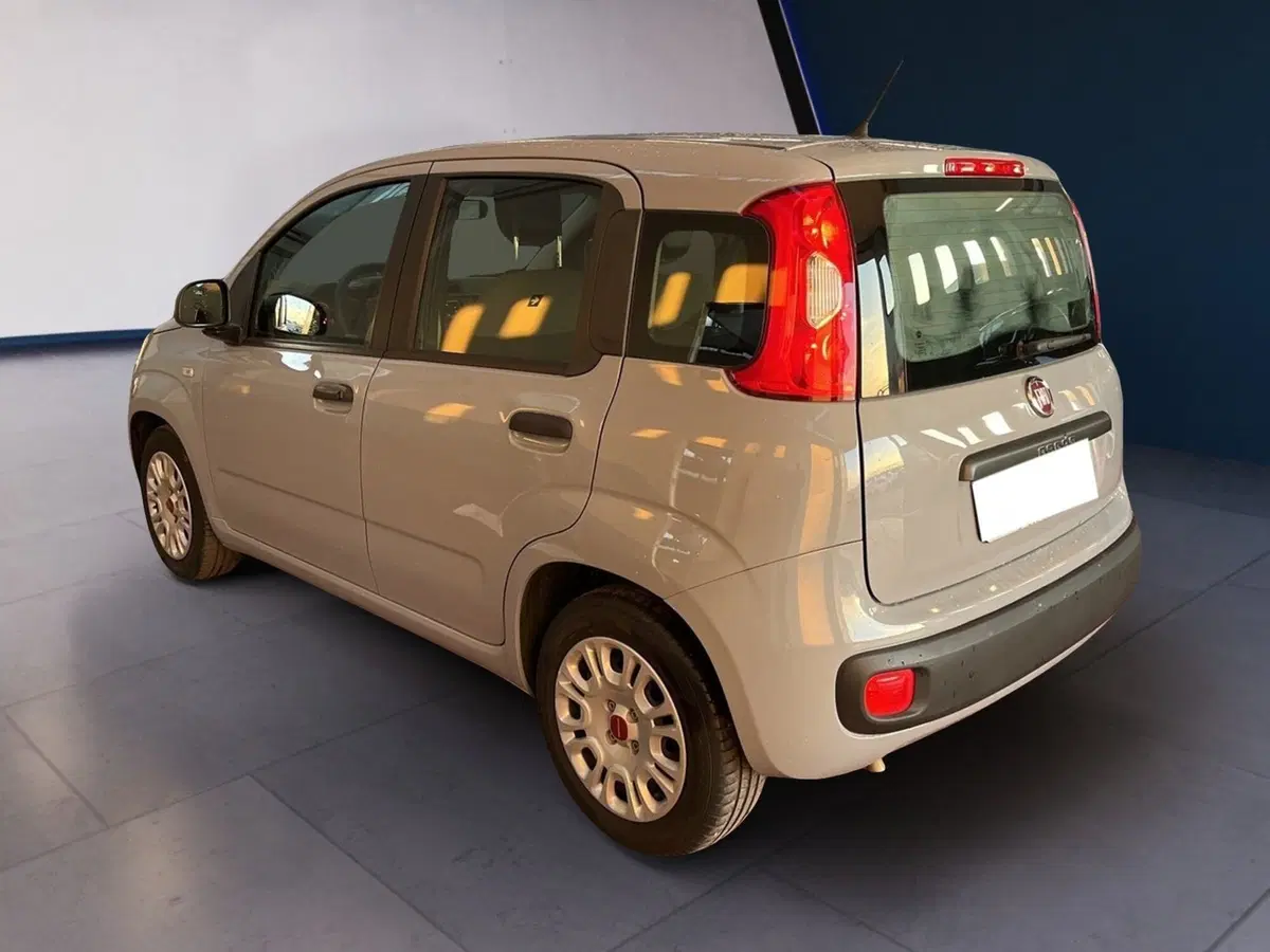 Fiat Panda usata a Torino (6)
