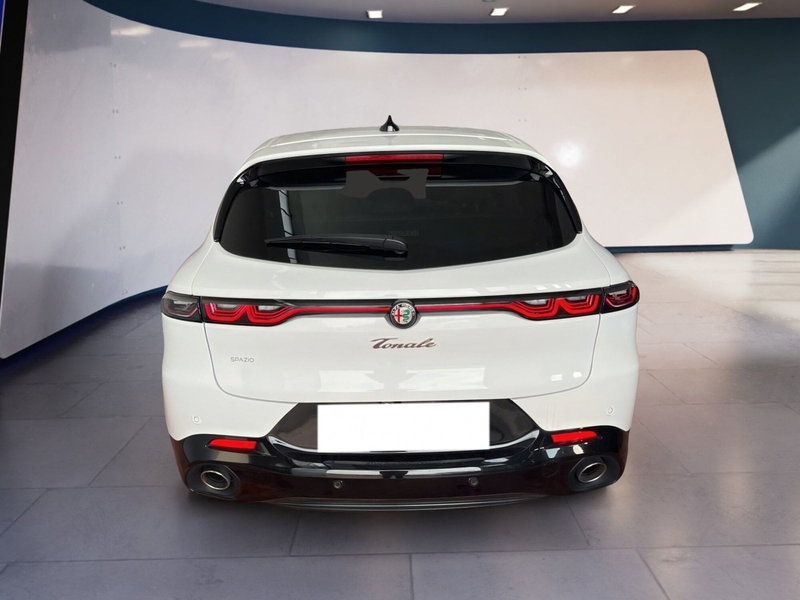 Alfa Romeo Tonale usata a Torino (5)