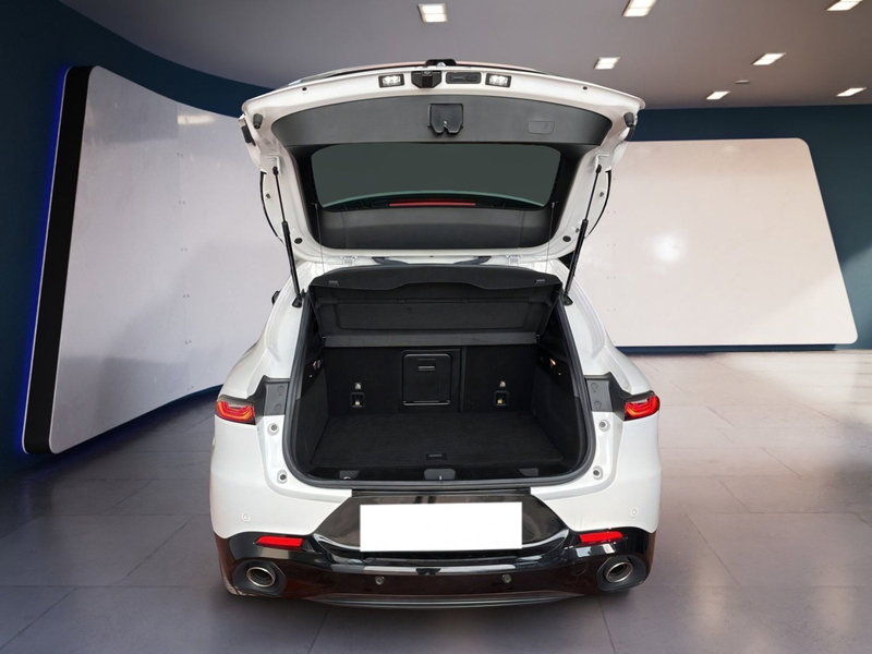 Alfa Romeo Tonale usata a Torino (8)